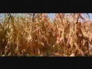 Stellet Licht: Een Rustige Rustplek