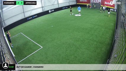 But de Gabor - farmers