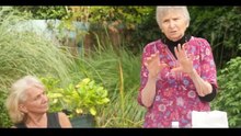 Conseils pour l'Argile (Micheline Dextreit et Jade Allègre).