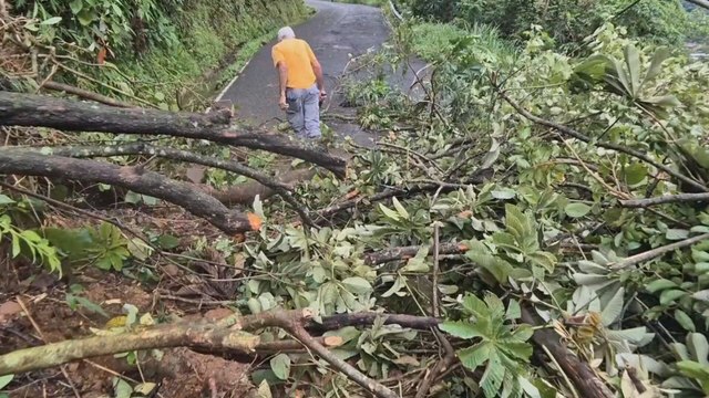 Reportan afectaciones por lluvias en la provincia de Chiriquí