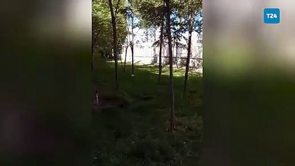 Baba Nizamettin Kabaiş'in kızı Rojin Kabaiş'i KYK yurduna yerleştirdiği günden görüntüler