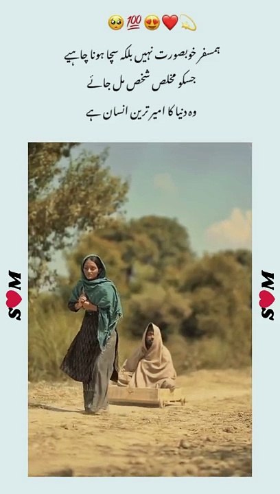 Jis insan ko dunia ka mukhlis humsafar mil jae wo dunia ka ameer tareen insan hain #loyalty #partner