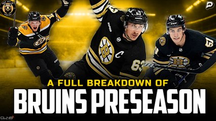 Your Guide to the Bruins Preseason | Bear With Me