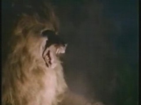 Montage AMV Werewolf-La malediction du loup-garou