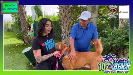 HUMANE SOCIETY OF MIAMI