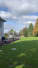 LA BELLE VERDURE suisse de Bâle