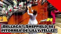 ¡VE! ¡senadora bellaca! ¡Ricardo Sheffield se pitorrea de Lilly Téllez por provocar a Noroña!