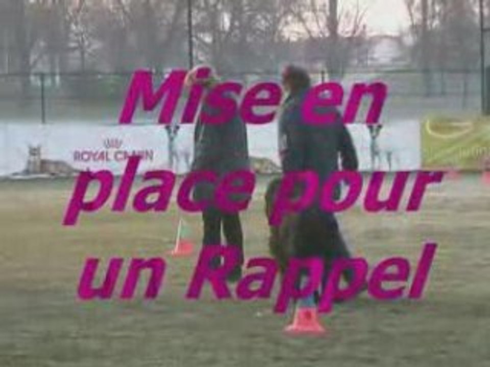 Alf BREVET d'obéissance à AULNAY le 08 mars 2008 le film