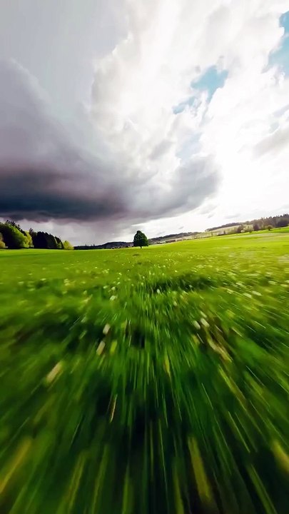 Beauty of nature|beautiful scene|greenery