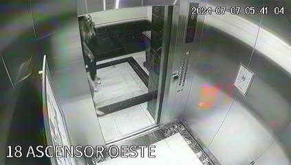 El momento donde uno de los rugbiers franceses y la denunciante -05.mp4