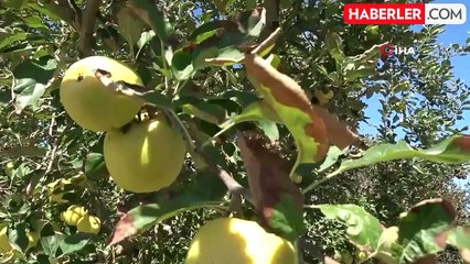 Karaman'da Tuzlu Su Krizi: Çiftçiler Endişeli