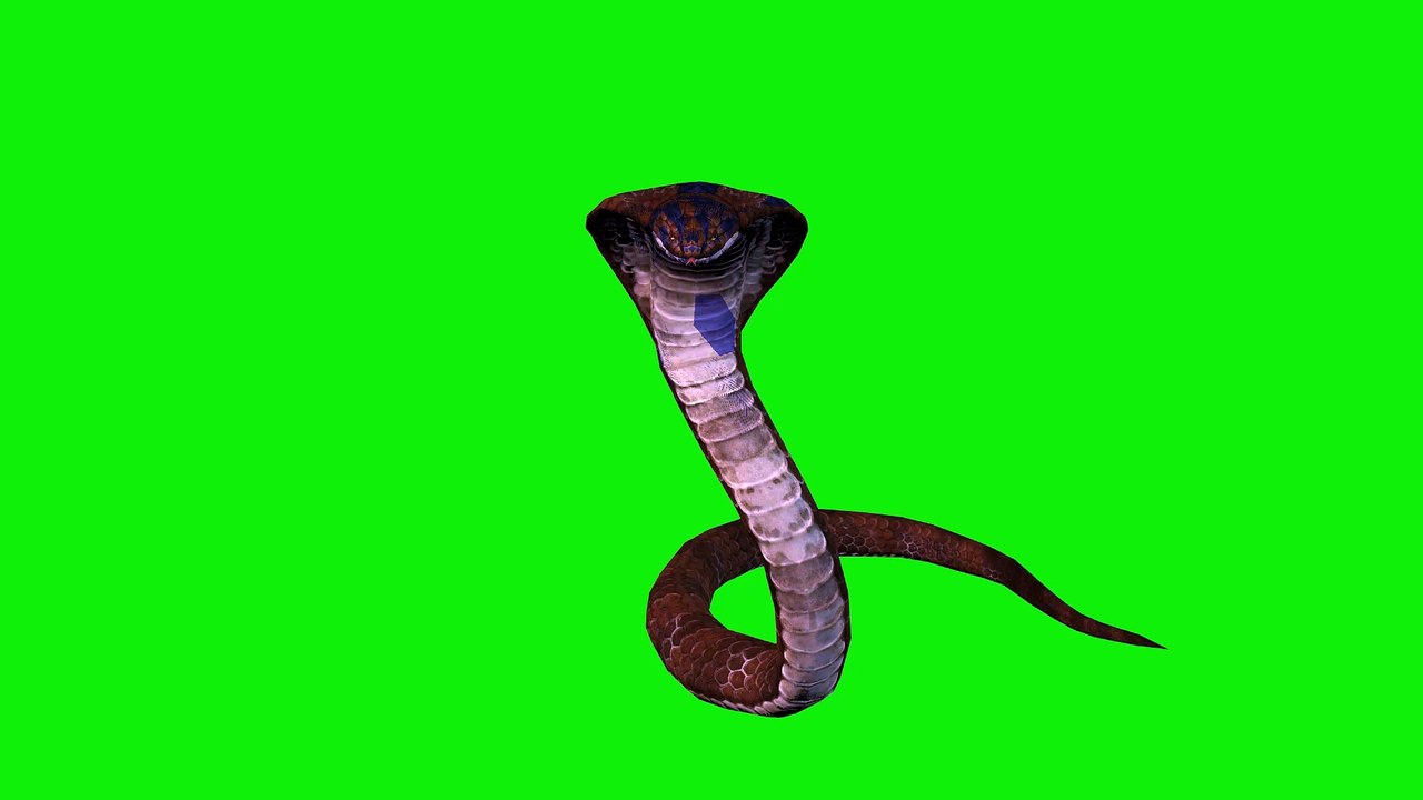 Cobra Green Screen 4K