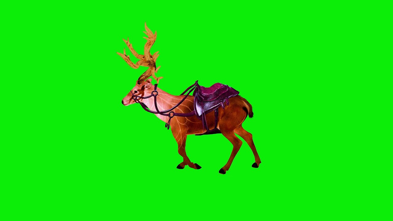 Deer Green Screen 4K