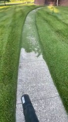 My cruel siblings refused to let me come to their WEDDINGS