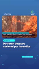 Declaran desastre nacional por incendios