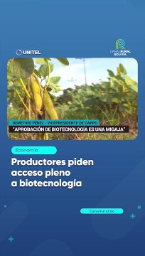 Productores piden acceso pleno a biotecnología