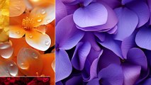 80 Color Flowers Texture Backgrounds