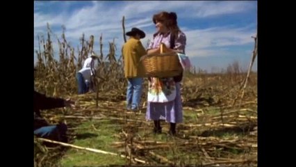 SANGRE DE GALLO Película completa en español latino HD