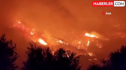 Yunanistan'da Orman Yangını: 2 Kişi Hayatını Kaybetti