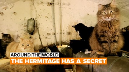 Around the world: The curious night guards of The Hermitage