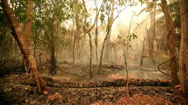 Bolivia decreta desastre nacional por incendios forestales