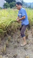 #video #chinese #funny #comedy #memes #love #cute #trending #latest #popular #viral #shorts #reels