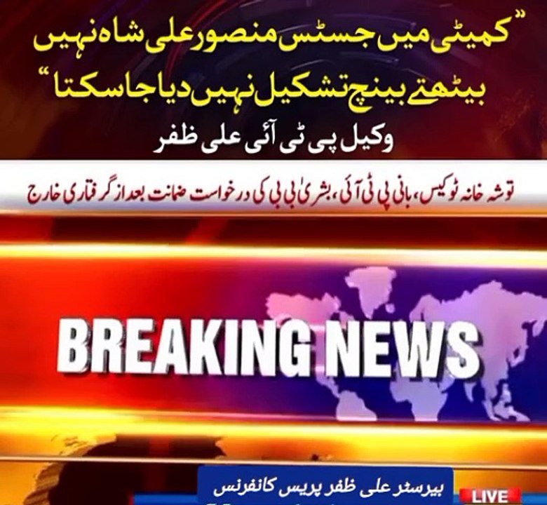 PTI lawyer Ali Zafer press conference about supreme court