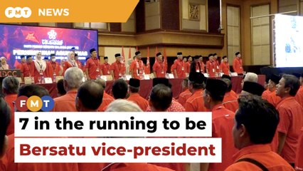 7 in the running to be Bersatu vice-president, says source