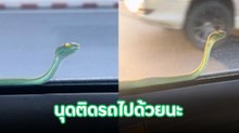 มีสะดุ้งแรง ! เรียกแท็กซี่แล้วมีแขกไม่รับเชิญขอติดรถมาด้วย นั่งไปก็ใจสั่นไป