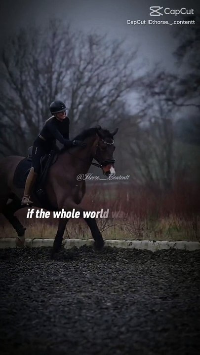 Horse loves