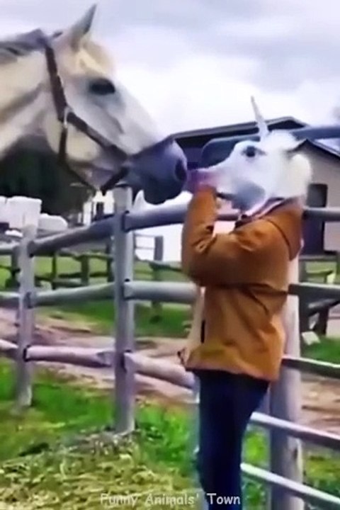 Funny video Compilation 1  !!!!
