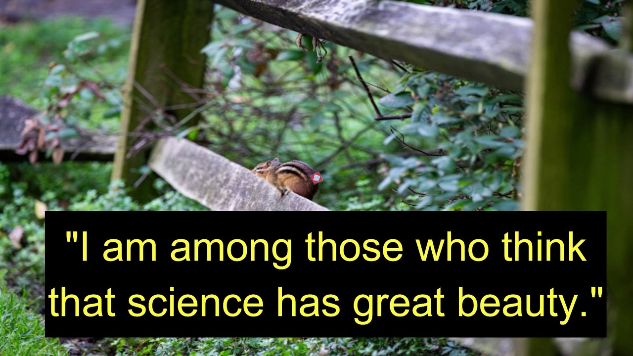 Marie Curie The Power of Perseverance, Science, and Hope @green mountain
