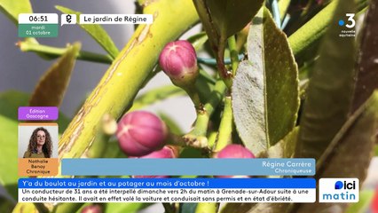 01/10/2024 - ICI Matin France Bleu Gascogne en vidéo