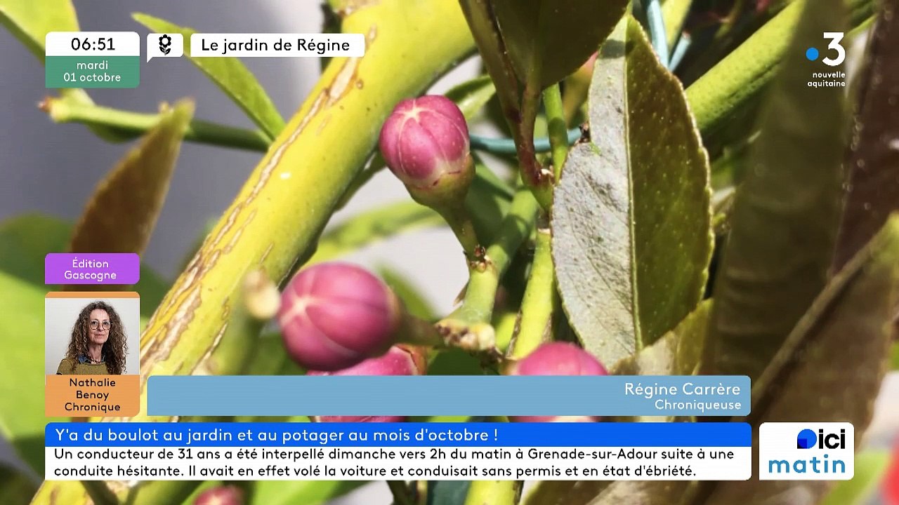01/10/2024 - ICI Matin France Bleu Gascogne en vidéo