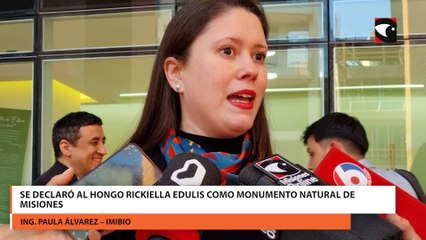 Se declaró al hongo Rickiella edulis como monumento natural de Misiones
