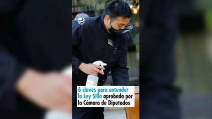 6 claves para entender la Ley Silla aprobada por la Cámara de Diputados