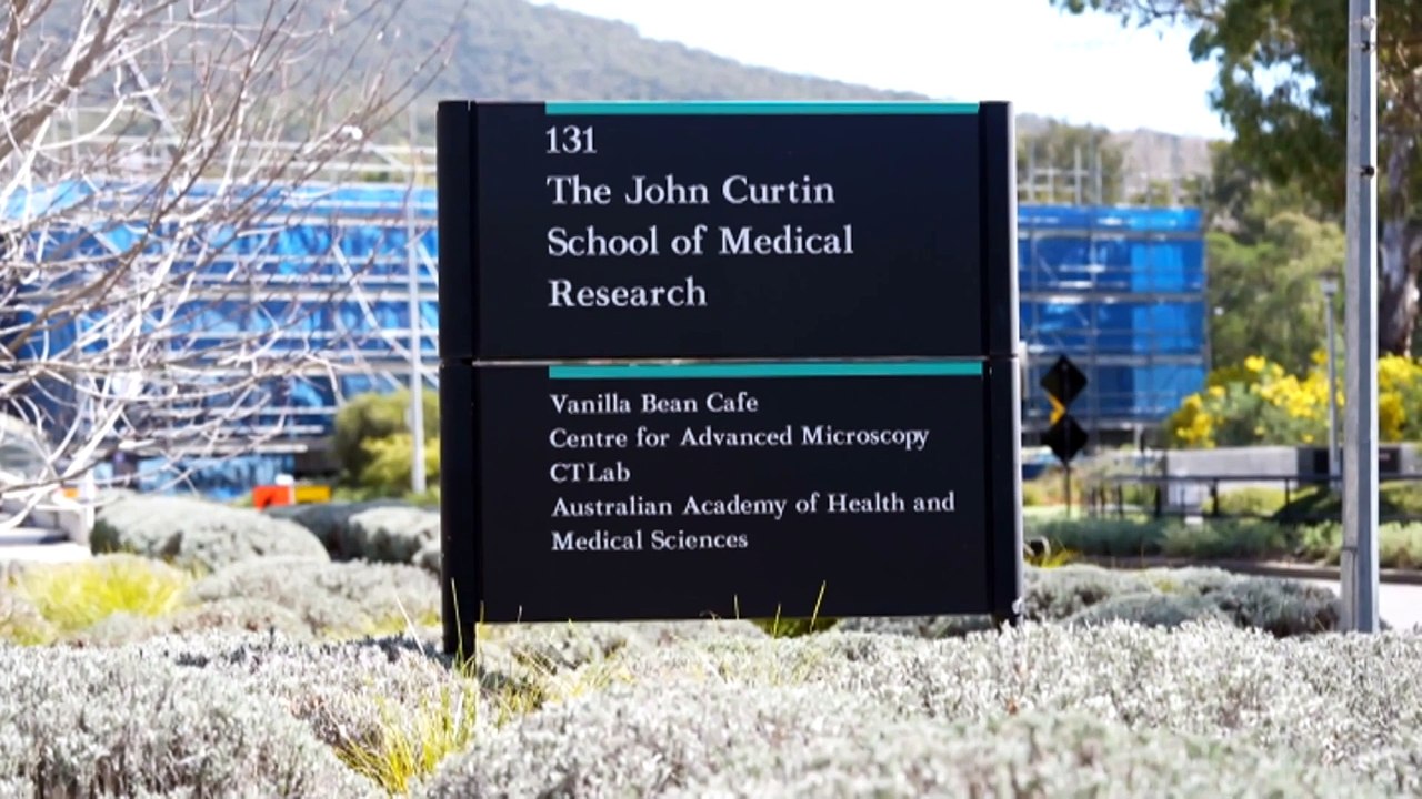 Australian National University to cut jobs and spending as it faces $200 million deficit this year