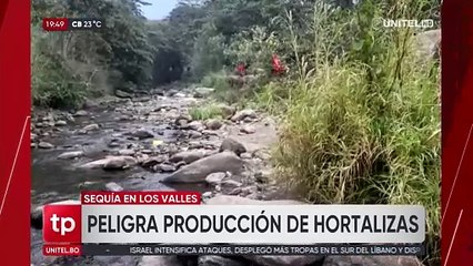 Peligra producción de hortalizas en los Valles cruceños a causa de la sequía