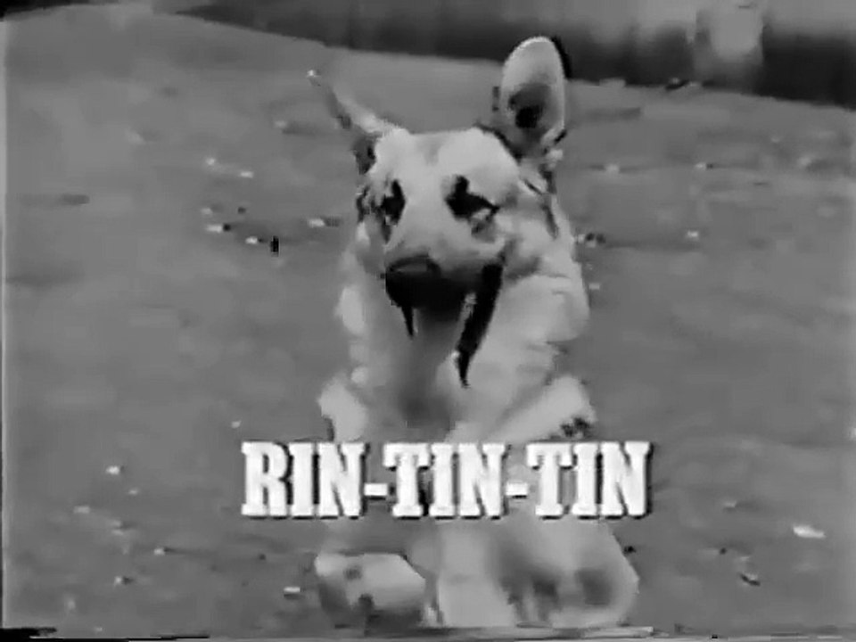 Rin Tin Tin (Episodio 9)