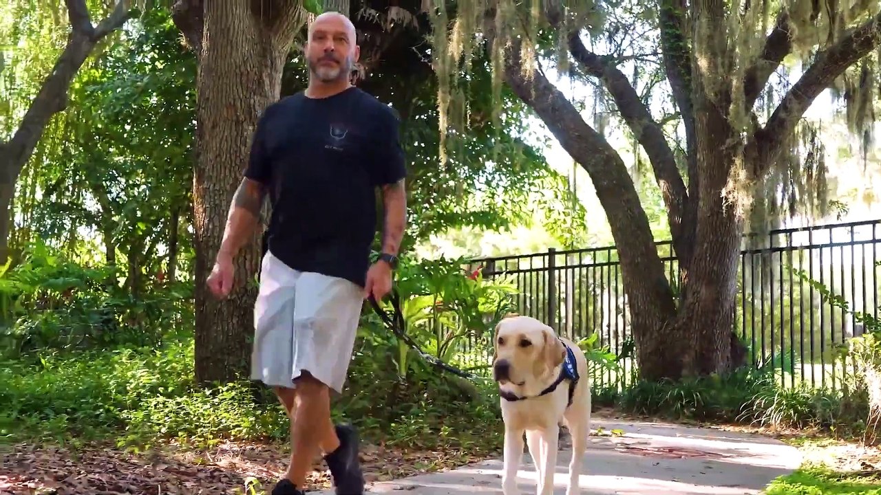 Dogs Inc： The PTSD Battle Can be Won