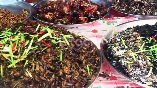 Locust plague and fried locusts