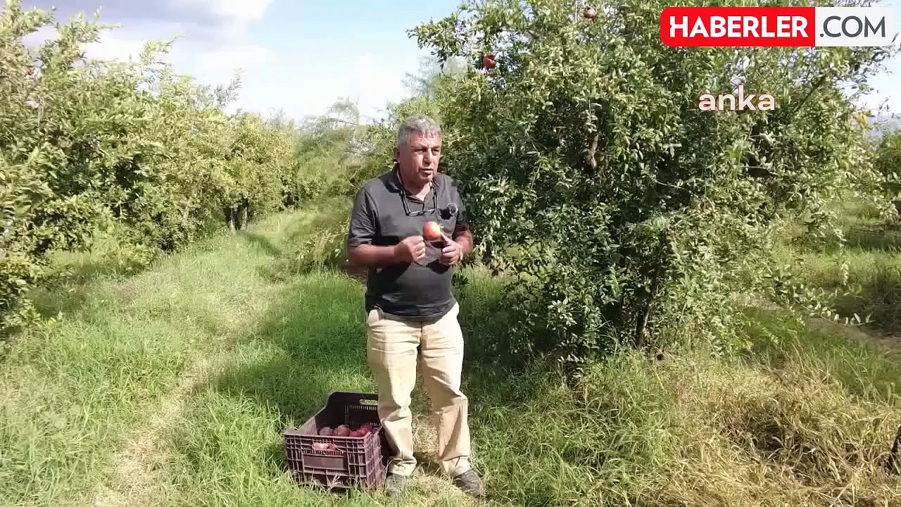 Çiftçilerin İhracat Sorunlarına Dikkat Çekildi