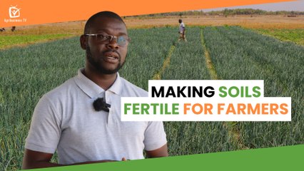 Burkina Faso: Making soils fertile for farmers