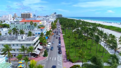 ＂Wake-Up Call＂ ｜ Dogs of Destiny