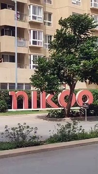 A Glimpse Into the Future In Prestige Autumn Leaves