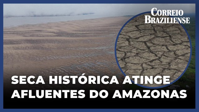 Afluentes do Amazonas sofrem situação crítica de escassez devido à seca histórica