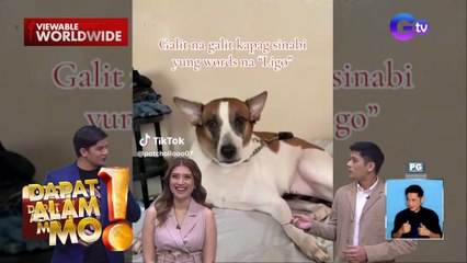 Aso, ‘beast mode’ tuwing makaririnig ng salitang ‘ligo’ | Dapat Alam Mo!