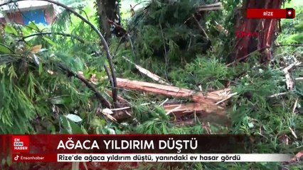 Rize’de ağaca yıldırım düştü, yanındaki ev hasar gördü