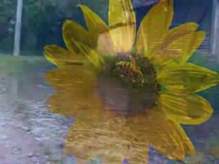 Косово је срце Србије