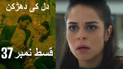 دل کی دھڑکن   Heart Beat - Episode 37